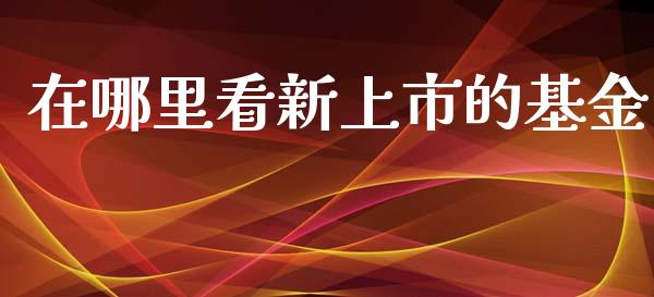 在哪里看新上市的基金_https://www.lansai.wang_股票问答_第1张