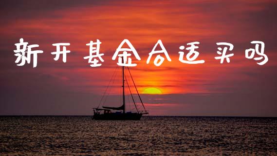 新开基金合适买吗_https://www.lansai.wang_基金理财_第1张