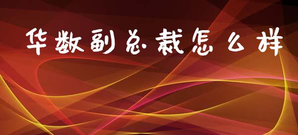 华数副总裁怎么样_https://www.lansai.wang_期货资讯_第1张