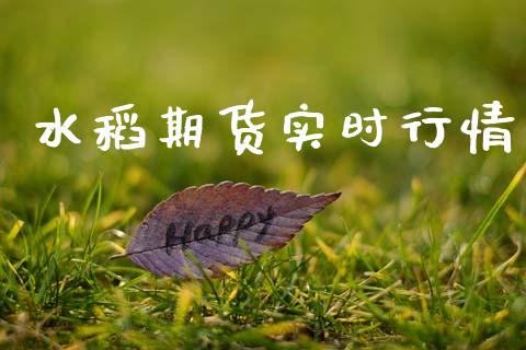 水稻期货实时行情_https://www.lansai.wang_期货资讯_第1张