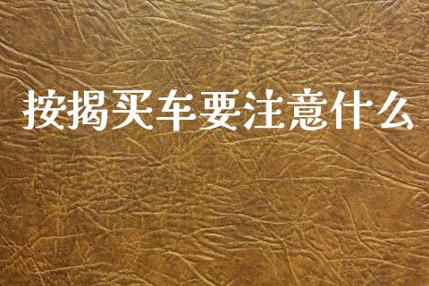 按揭买车要注意什么_https://www.lansai.wang_恒生指数_第1张