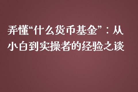 弄懂“什么货币基金”：从小白到实操者的经验之谈_https://www.lansai.wang_股指期货_第1张