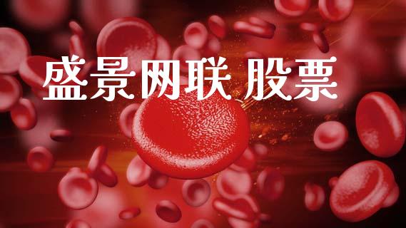 盛景网联 股票_https://www.lansai.wang_期货资讯_第1张