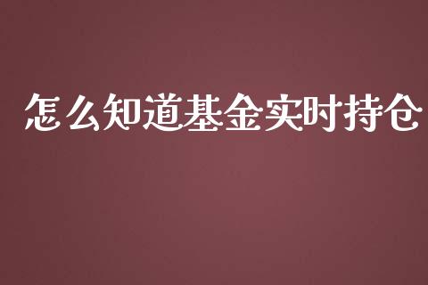 怎么知道基金实时持仓_https://www.lansai.wang_基金理财_第1张