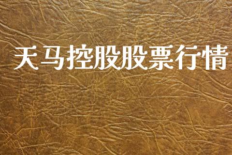 天马控股股票行情_https://www.lansai.wang_股票知识_第1张