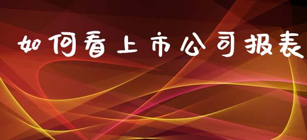 如何看上市公司报表_https://www.lansai.wang_期货资讯_第1张