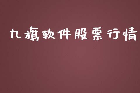 九旗软件股票行情_https://www.lansai.wang_股票知识_第1张