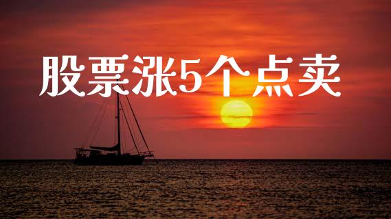 股票涨5个点卖_https://www.lansai.wang_期货资讯_第1张