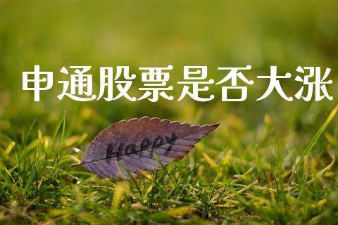 申通股票是否大涨_https://www.lansai.wang_期货资讯_第1张