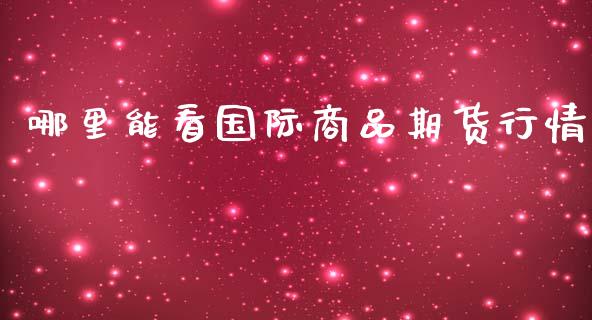 哪里能看国际商品期货行情_https://www.lansai.wang_期货资讯_第1张