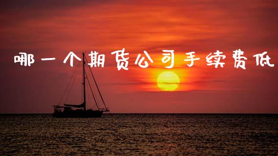 哪一个期货公司手续费低_https://www.lansai.wang_期货行情_第1张