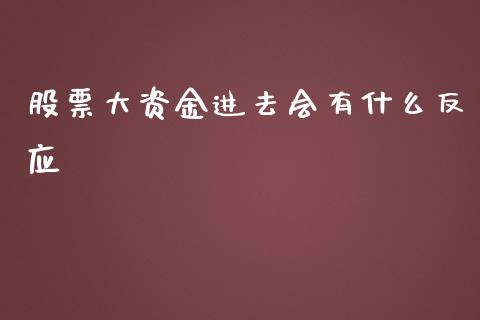 股票大资金进去会有什么反应_https://www.lansai.wang_基金理财_第1张