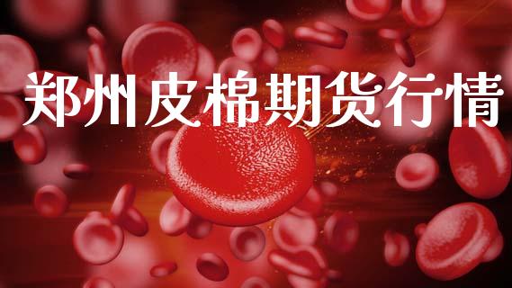 郑州皮棉期货行情_https://www.lansai.wang_期货品种_第1张