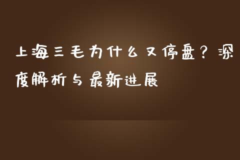 上海三毛为什么又停盘?深度解析与最新进展_期货行情_第1张_起点财经 上海三毛为什么又停盘?深度解析与最新进展_https://www.lansai.wang_期货行情_第1张