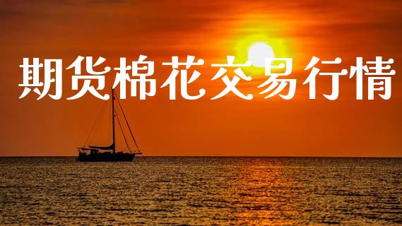 期货棉花交易行情_https://www.lansai.wang_期货资讯_第1张