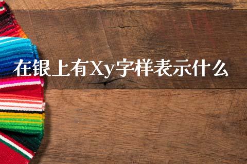 在银上有Xy字样表示什么_https://www.lansai.wang_基金理财_第1张