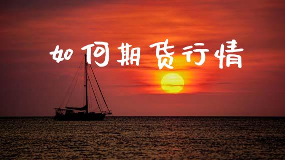 如何期货行情_https://www.lansai.wang_期货品种_第1张
