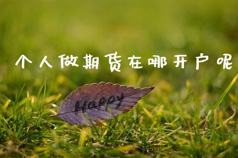个人做期货在哪开户呢_https://www.lansai.wang_期货资讯_第1张