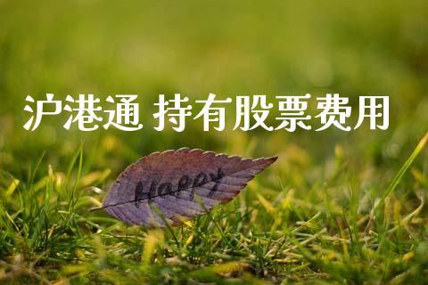沪港通 持有股票费用_https://www.lansai.wang_期货行情_第1张