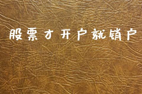 股票才开户就销户_https://www.lansai.wang_期货资讯_第1张