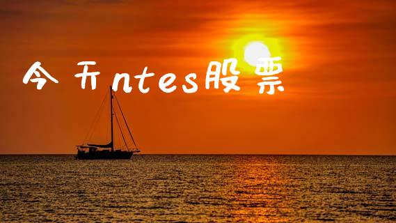 今天ntes股票_https://www.lansai.wang_基金理财_第1张