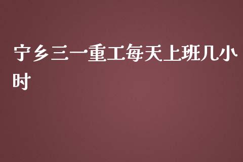 宁乡三一重工每天上班几小时_https://www.lansai.wang_股票知识_第1张