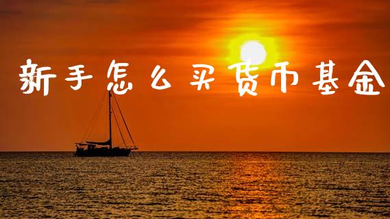 新手怎么买货币基金_https://www.lansai.wang_未分类_第1张