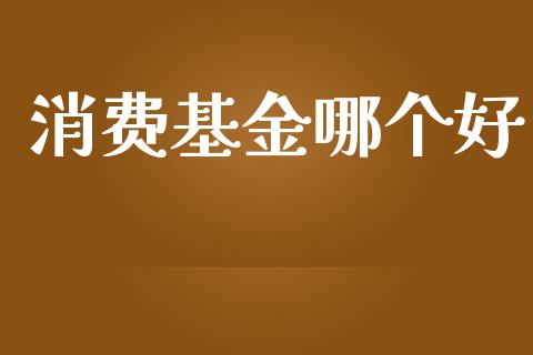 消费基金哪个好_https://www.lansai.wang_基金理财_第1张