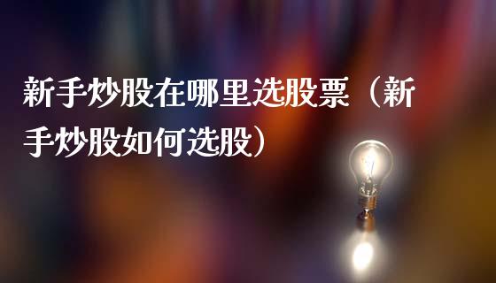 新手炒股在哪里选股票（新手炒股如何选股）_https://www.lansai.wang_股票知识_第1张