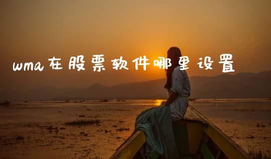 wma在股票软件哪里设置_https://www.lansai.wang_期货行情_第1张