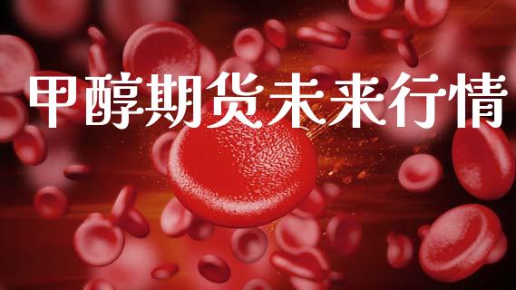 甲醇期货未来行情_https://www.lansai.wang_期货品种_第1张