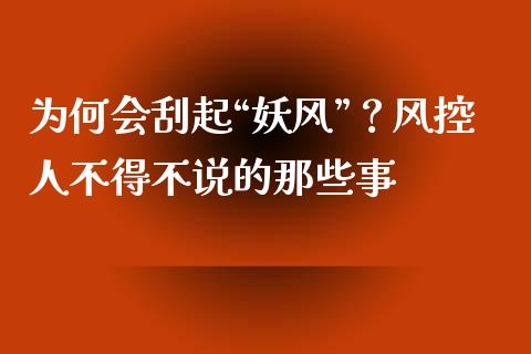 为何会刮起“妖风”？风控人不得不说的那些事_https://www.lansai.wang_基金理财_第1张