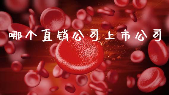 哪个直销公司上市公司_https://www.lansai.wang_期货品种_第1张