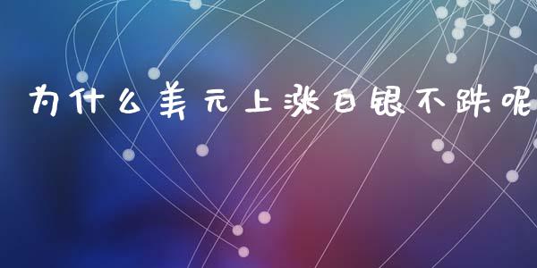 为什么美元上涨白银不跌呢_https://www.lansai.wang_恒生指数_第1张