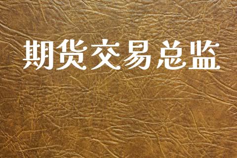 期货交易总监_https://www.lansai.wang_基金理财_第1张