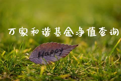 万家和谐基金净值查询_https://www.lansai.wang_基金理财_第1张