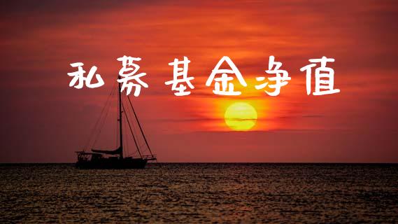 私募基金净值_https://www.lansai.wang_基金理财_第1张