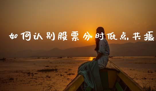如何认别股票分时低点共振_https://www.lansai.wang_基金理财_第1张