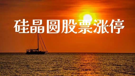 硅晶圆股票涨停_https://www.lansai.wang_基金理财_第1张