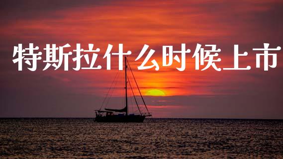 特斯拉什么时候上市_https://www.lansai.wang_期货直播_第1张