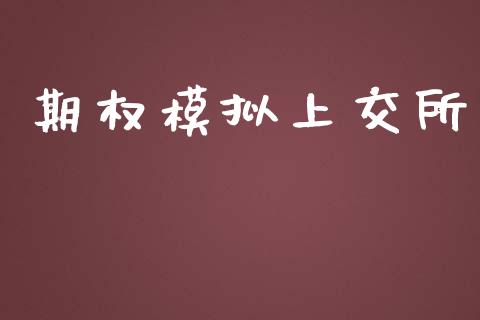 期权模拟上交所_https://www.lansai.wang_理财百科_第1张