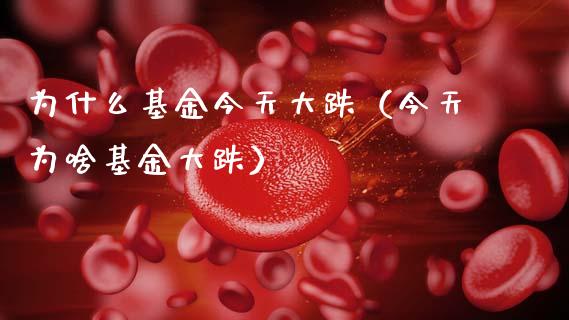 为什么基金今天大跌（今天为啥基金大跌）_https://www.lansai.wang_基金理财_第1张