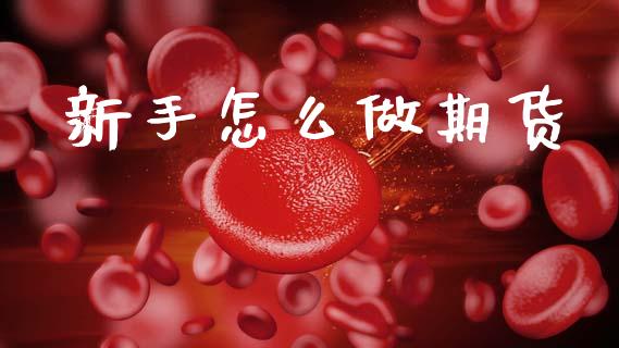 新手怎么做期货_https://www.lansai.wang_期货资讯_第1张
