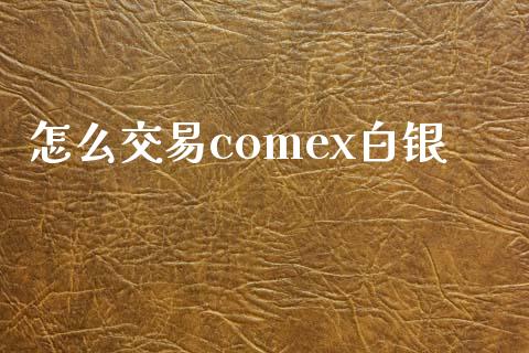 怎么交易comex白银_https://www.lansai.wang_期货学院_第1张