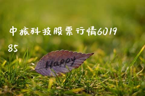 中核科技股票行情601985_https://www.lansai.wang_基金理财_第1张