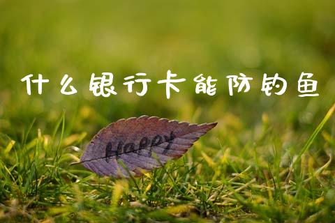 什么银行卡能防钓鱼_https://www.lansai.wang_股票知识_第1张