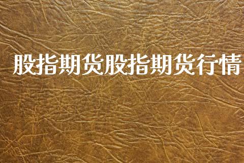 股指期货股指期货行情_https://www.lansai.wang_期货品种_第1张