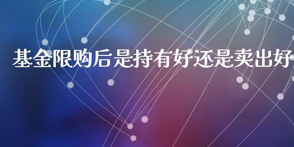 基金限购后是持有好还是卖出好_https://www.lansai.wang_基金理财_第1张