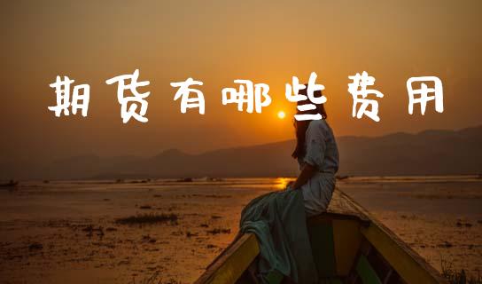 期货有哪些费用_https://www.lansai.wang_期货资讯_第1张