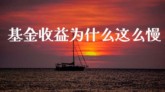 基金收益为什么这么慢_https://www.lansai.wang_未分类_第1张
